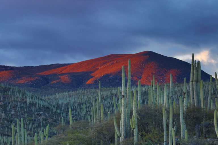 Turismo: ¿resiliencia o masoquismo?