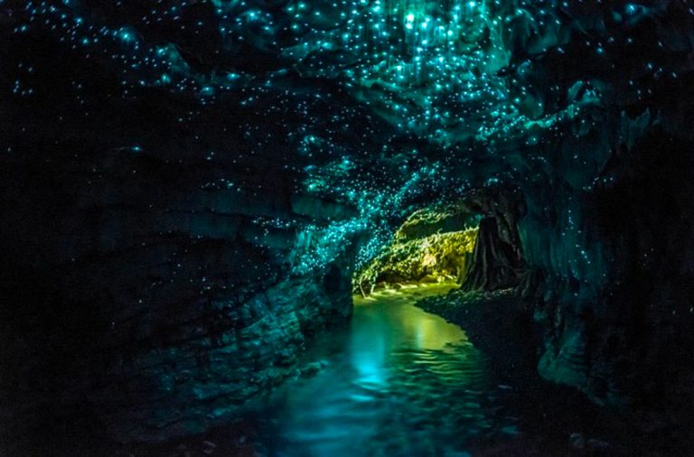 cuevas-waitomo-destinos-surrealistas-mundo