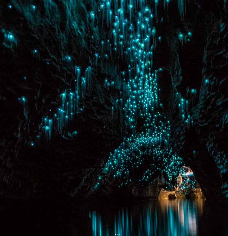 destinos-surrealistas-mundo-cuevas-waitomo