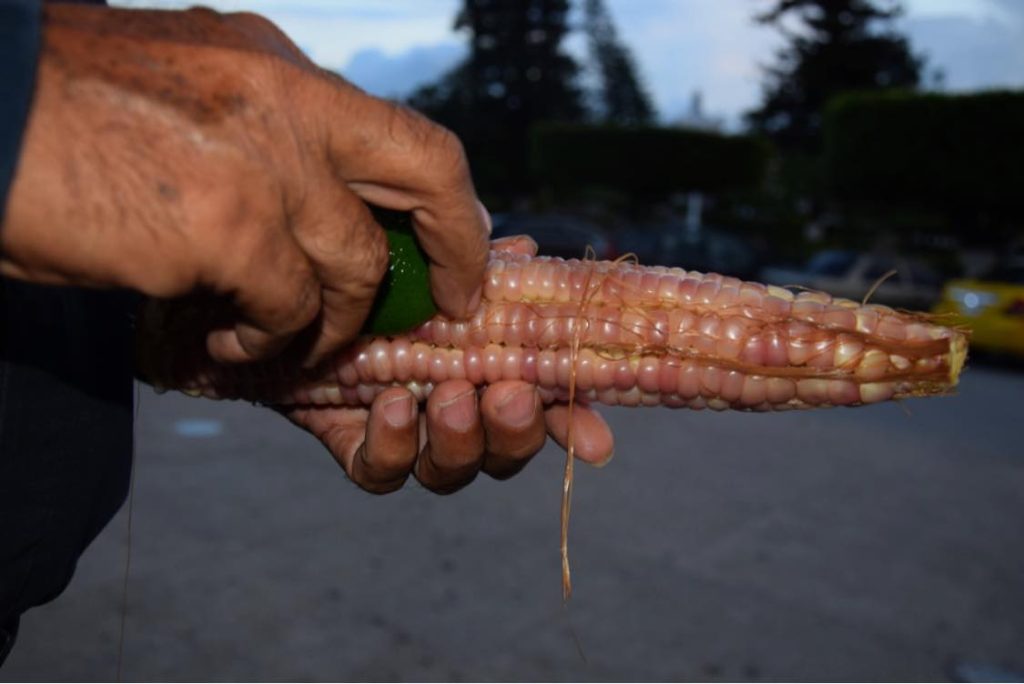 feria elote tuxpan pueblo fiesta eterna