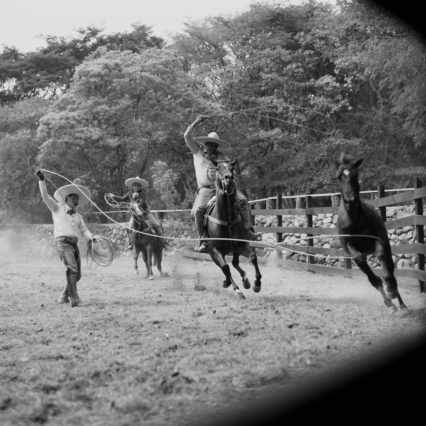 hacienda de san Antonio charreadas