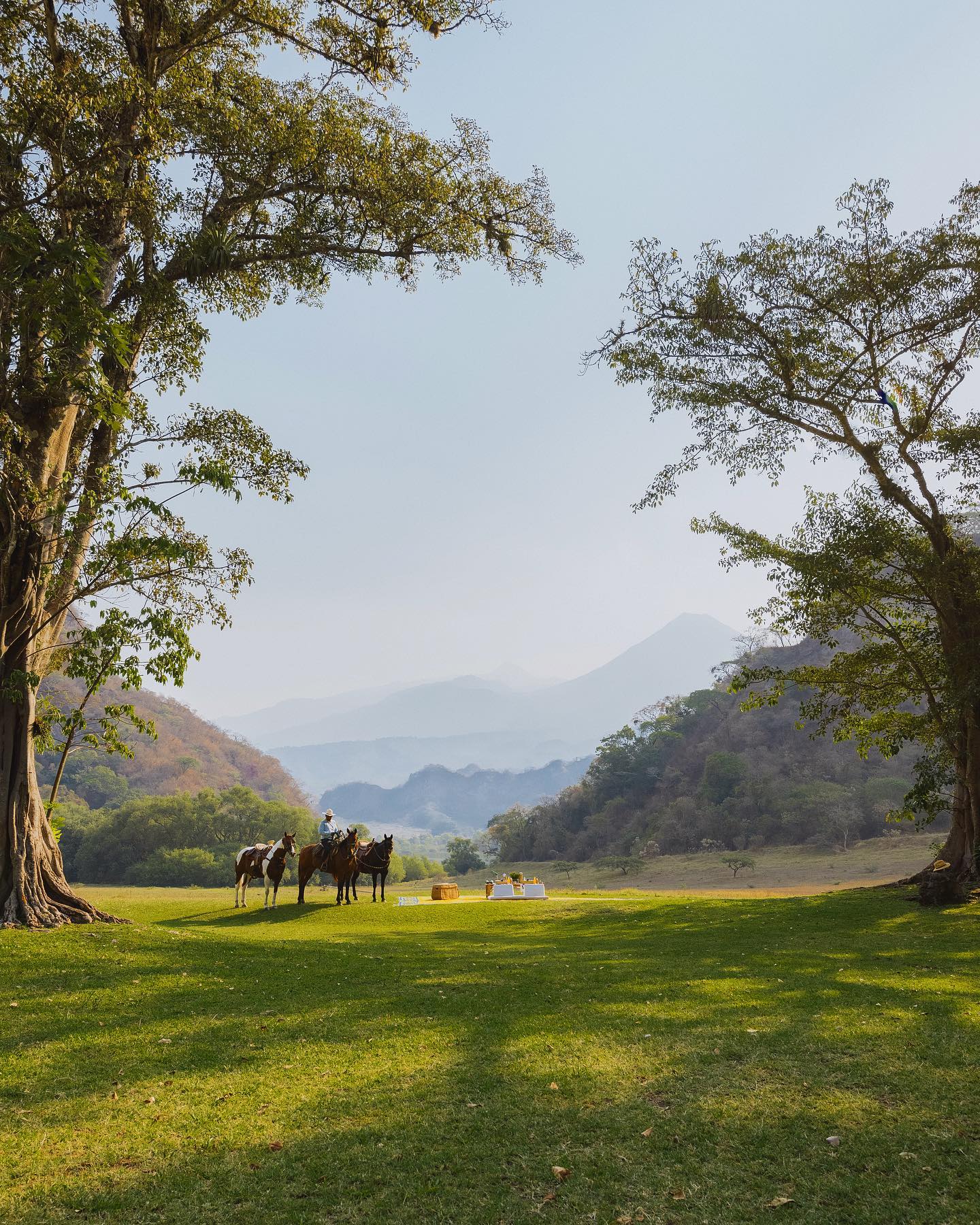 hacienda de san Antonio epazote picnic