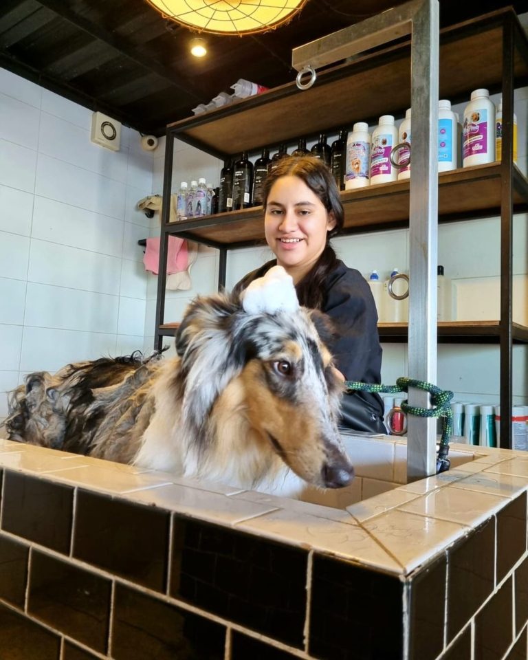 humanimals-lugares-petfriendly-en-mérida