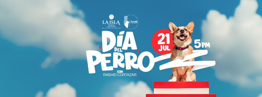 lugares petfriendly en mérida dia perro