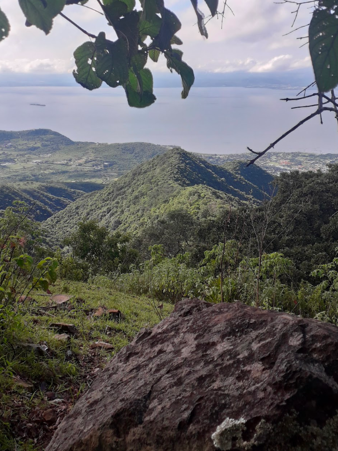 méxico-sendero-cerro-viejo-jalisco