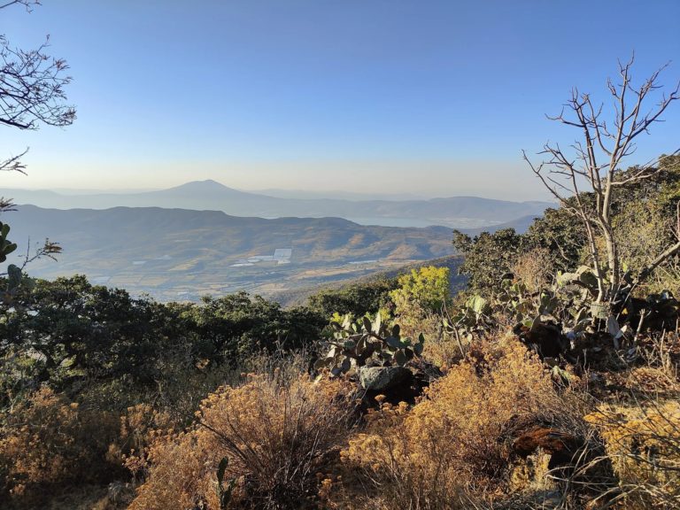 Sendero Cerro Viejo, la ruta ideal para vivir unas vacaciones en el bosque
