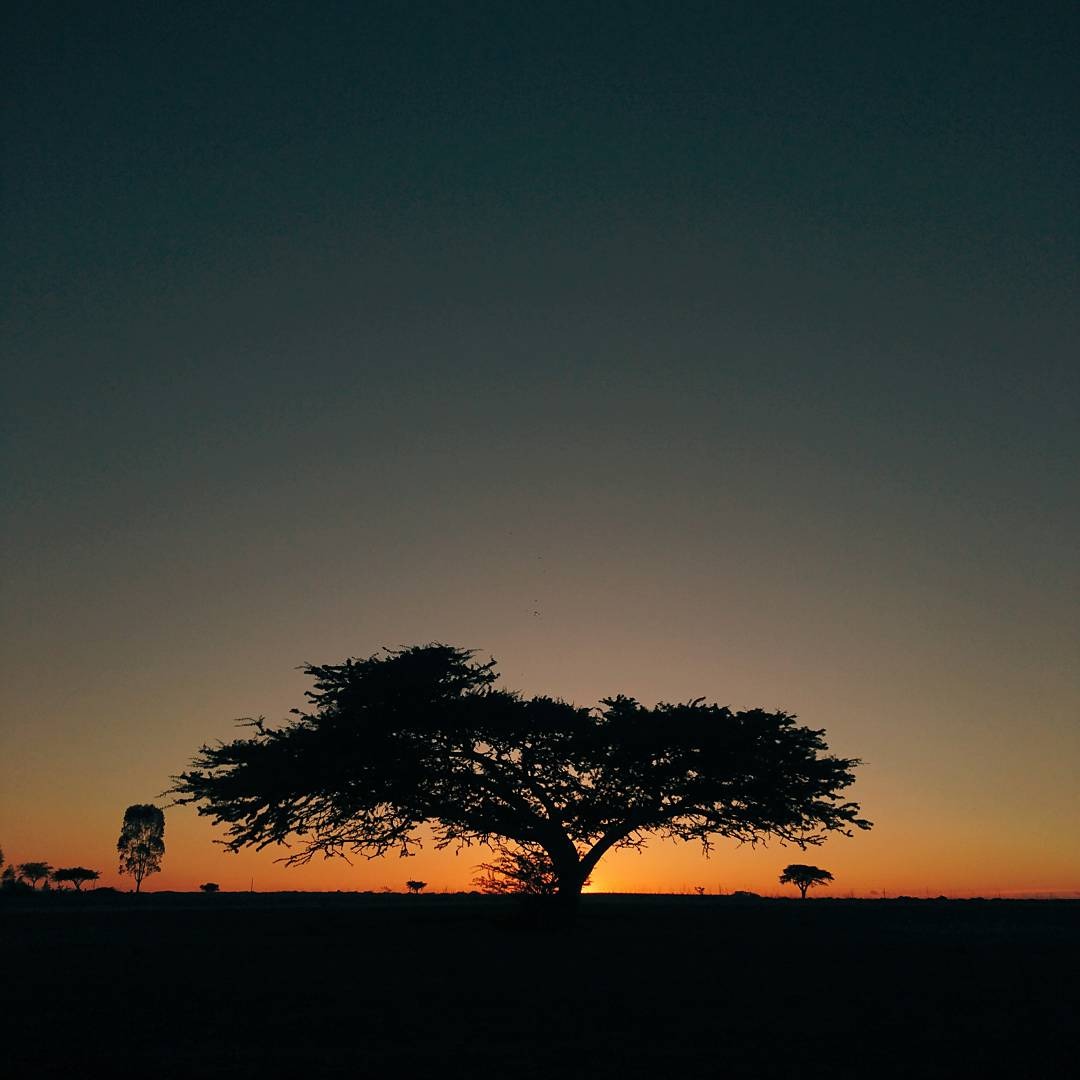 parque de cielo oscuro senderismo hidalgo