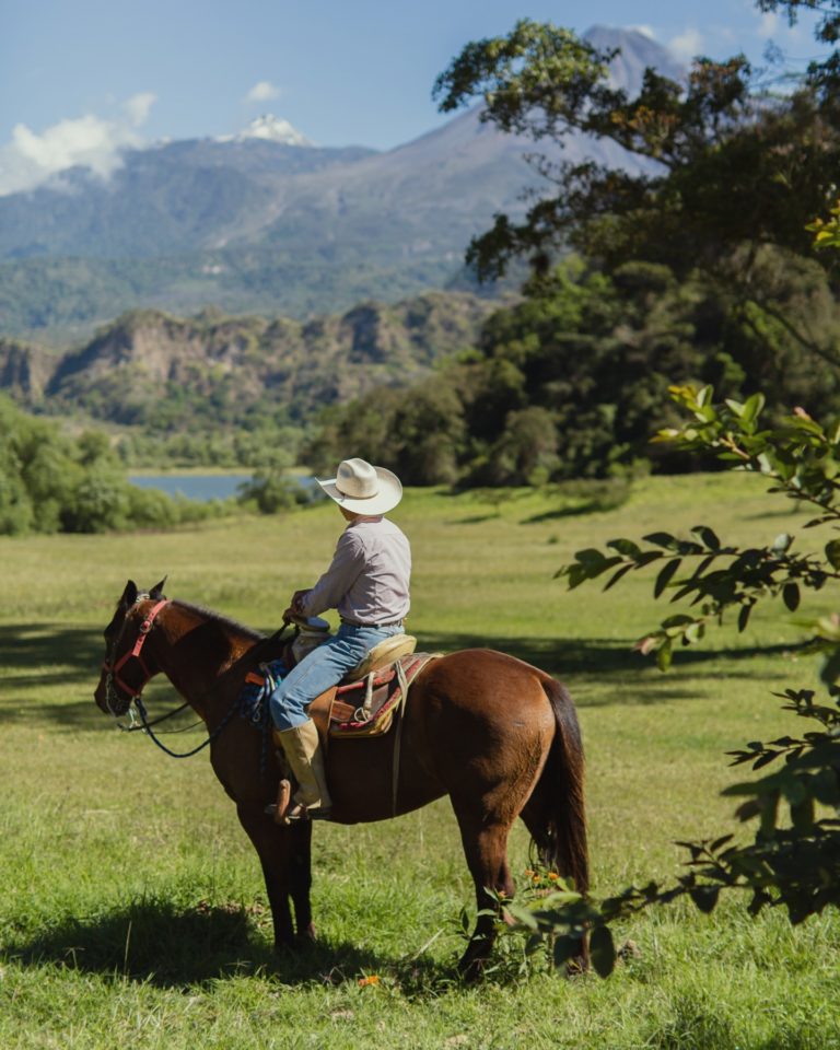 paseos-caballo-hacienda-de-san-Antonio