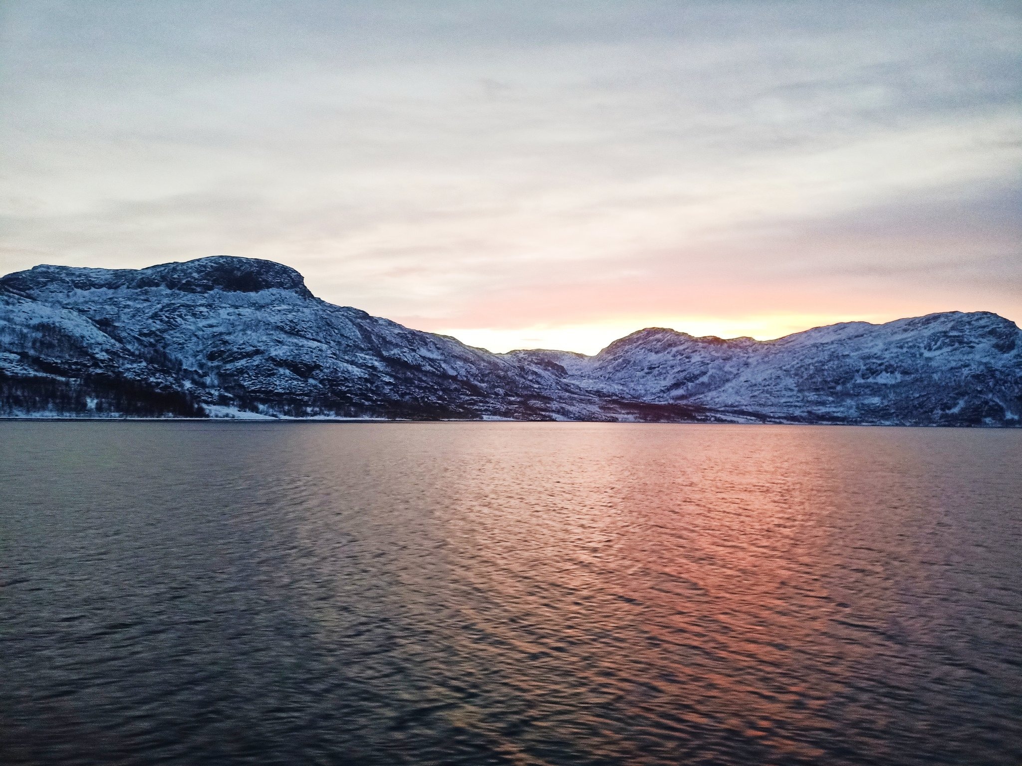 qué hacer en tromsø ballenas