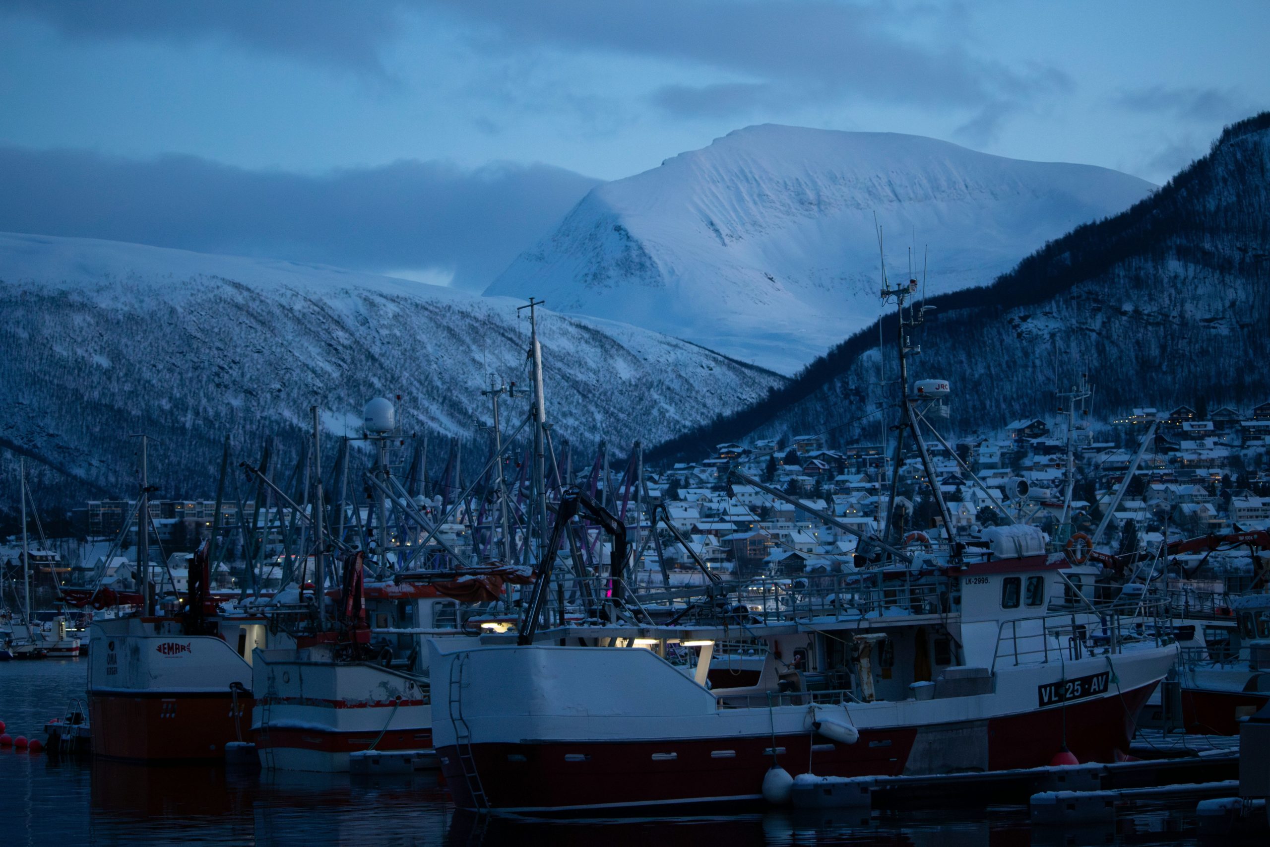 qué hacer en tromsø paseo barco