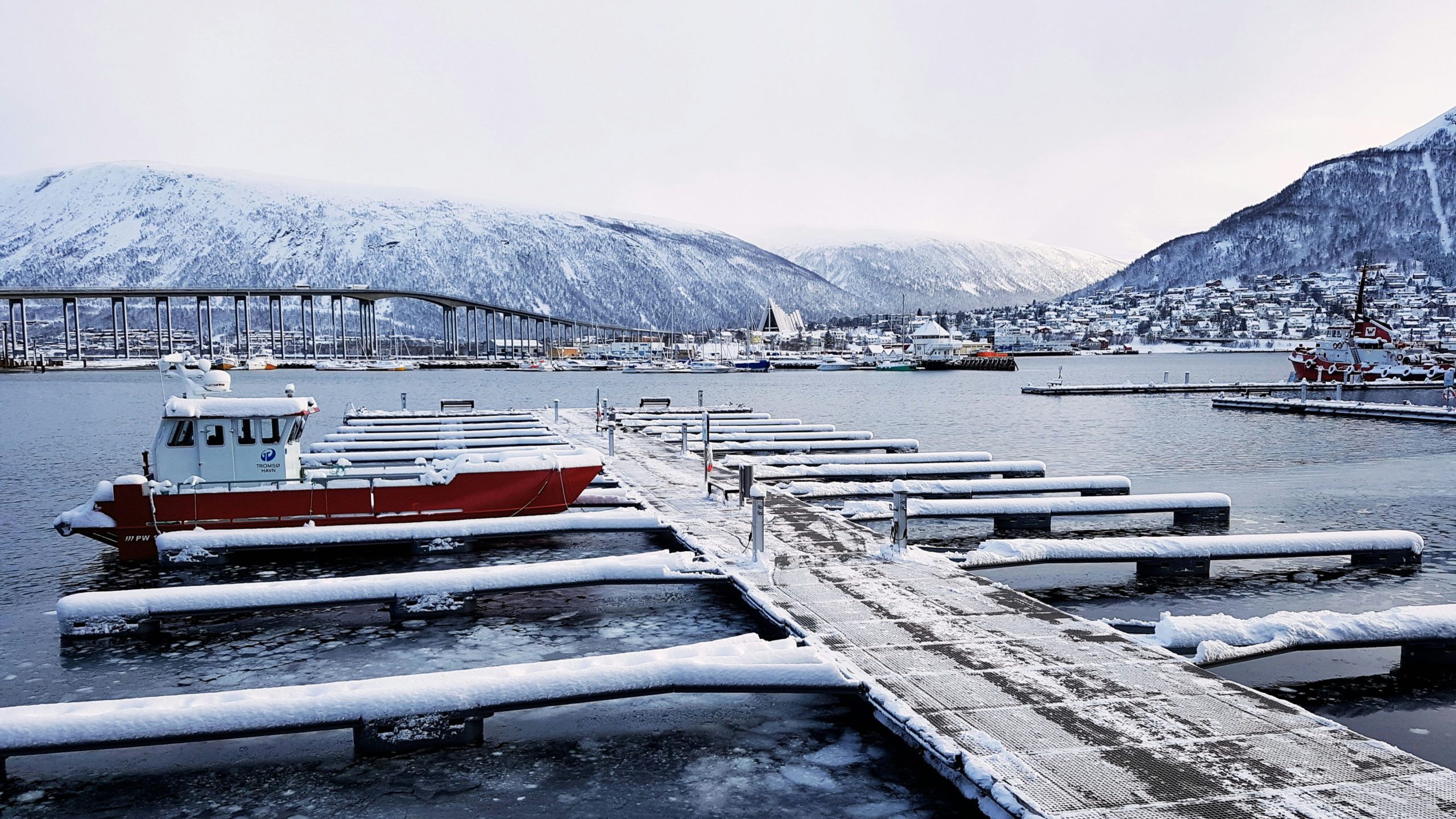 qué hacer en tromsø puerto