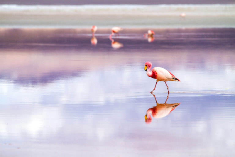 salar-uyuni-destinos-surrealistas-mundo