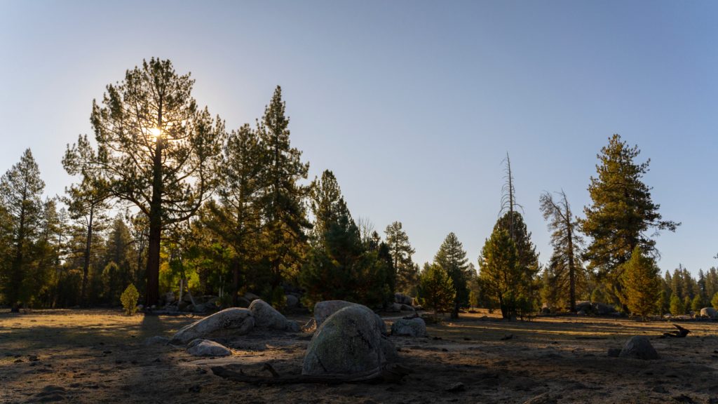 san pedro mártir baja california méxico