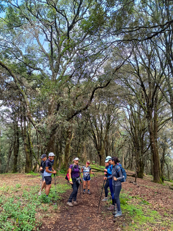 sendero-cerro-viejo-jalisco-méxico