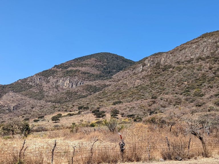 sendero-cerro-viejo-jalisco-senderismo