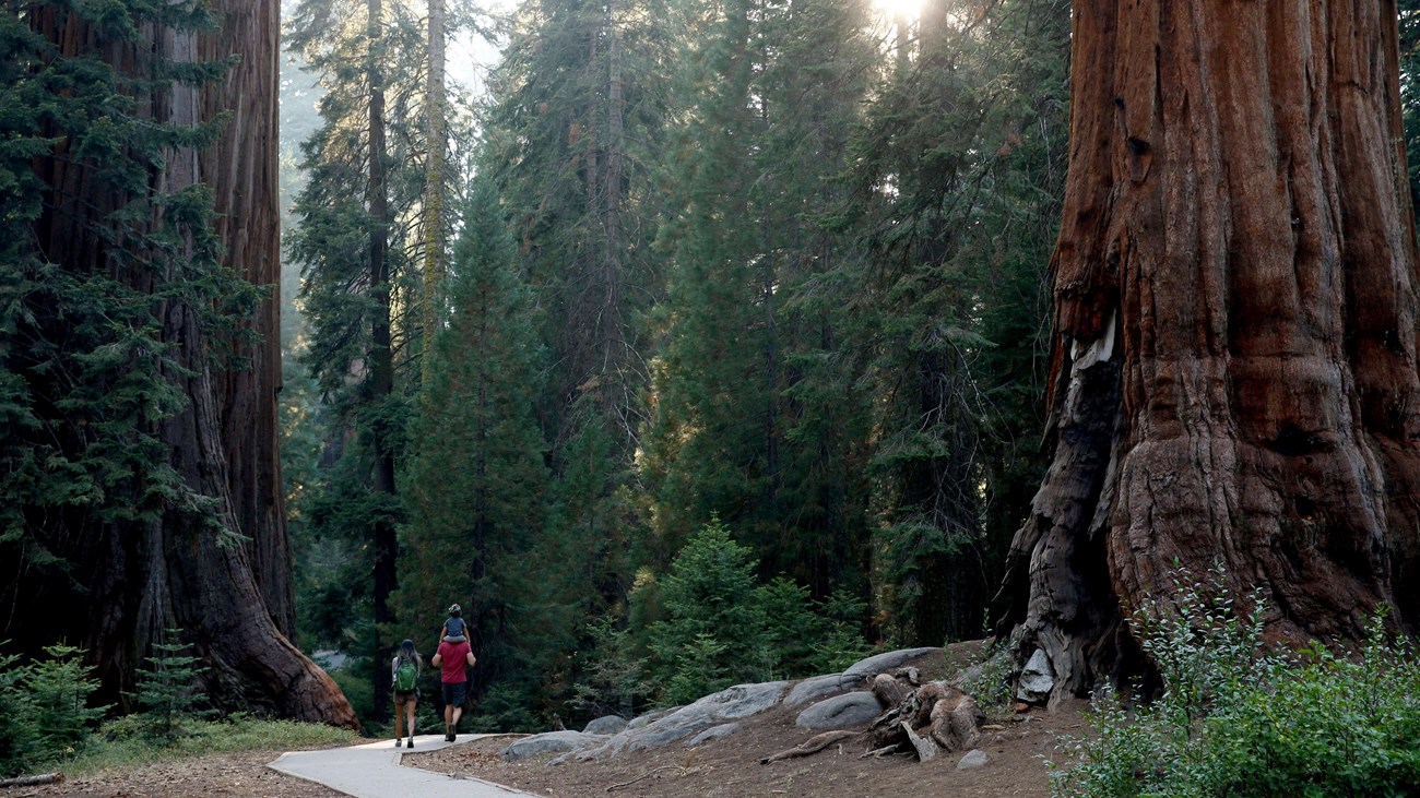 tierra de gigantes parques en california