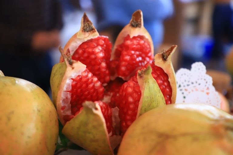 Asiste a la Feria de la Granada y la Pitahaya en Guanajuato