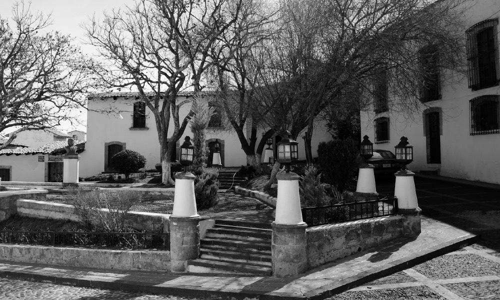 aculco pueblo mágico méxico árbol