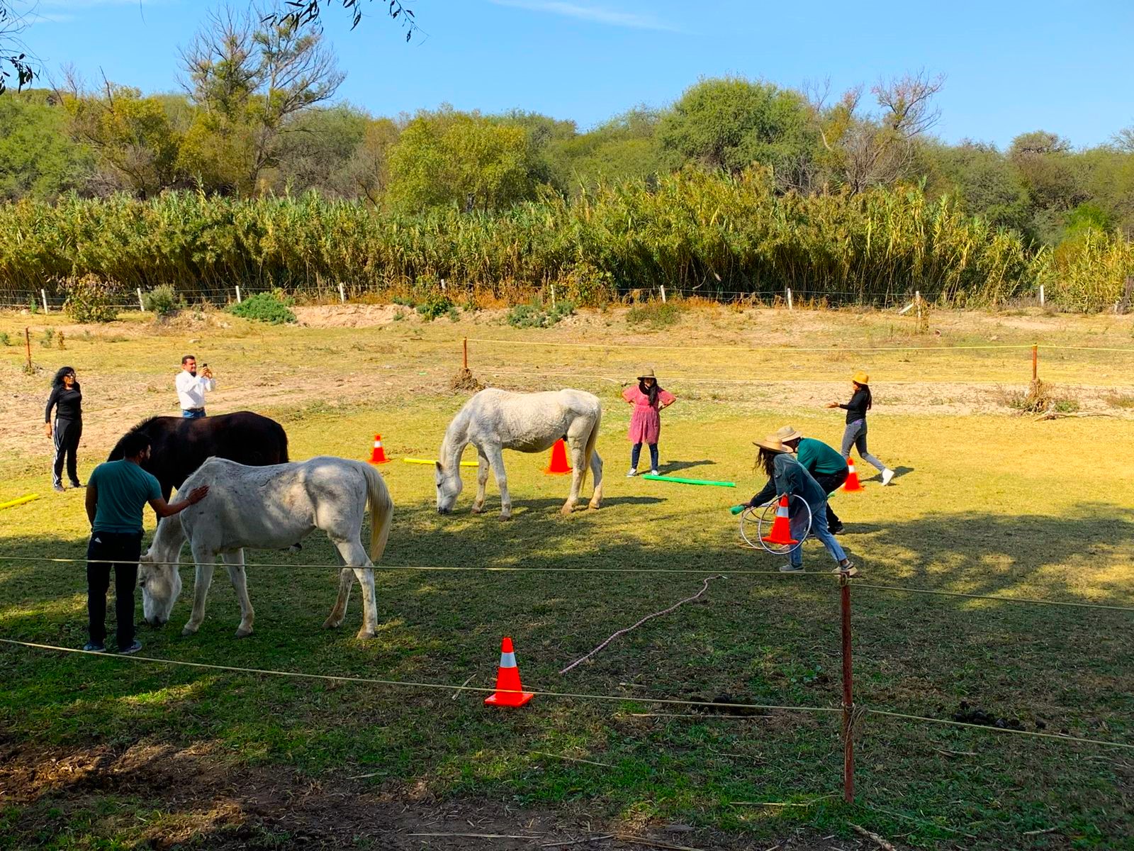 caballos lugares infantiles en guanajuato