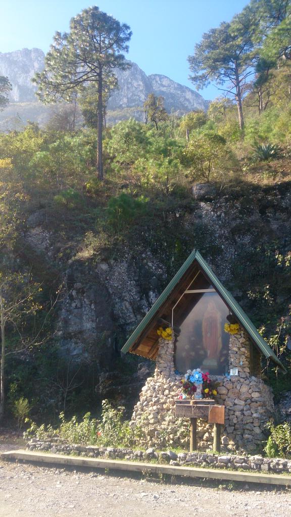 chipinique-baño-de-bosque-méxico-monterrey