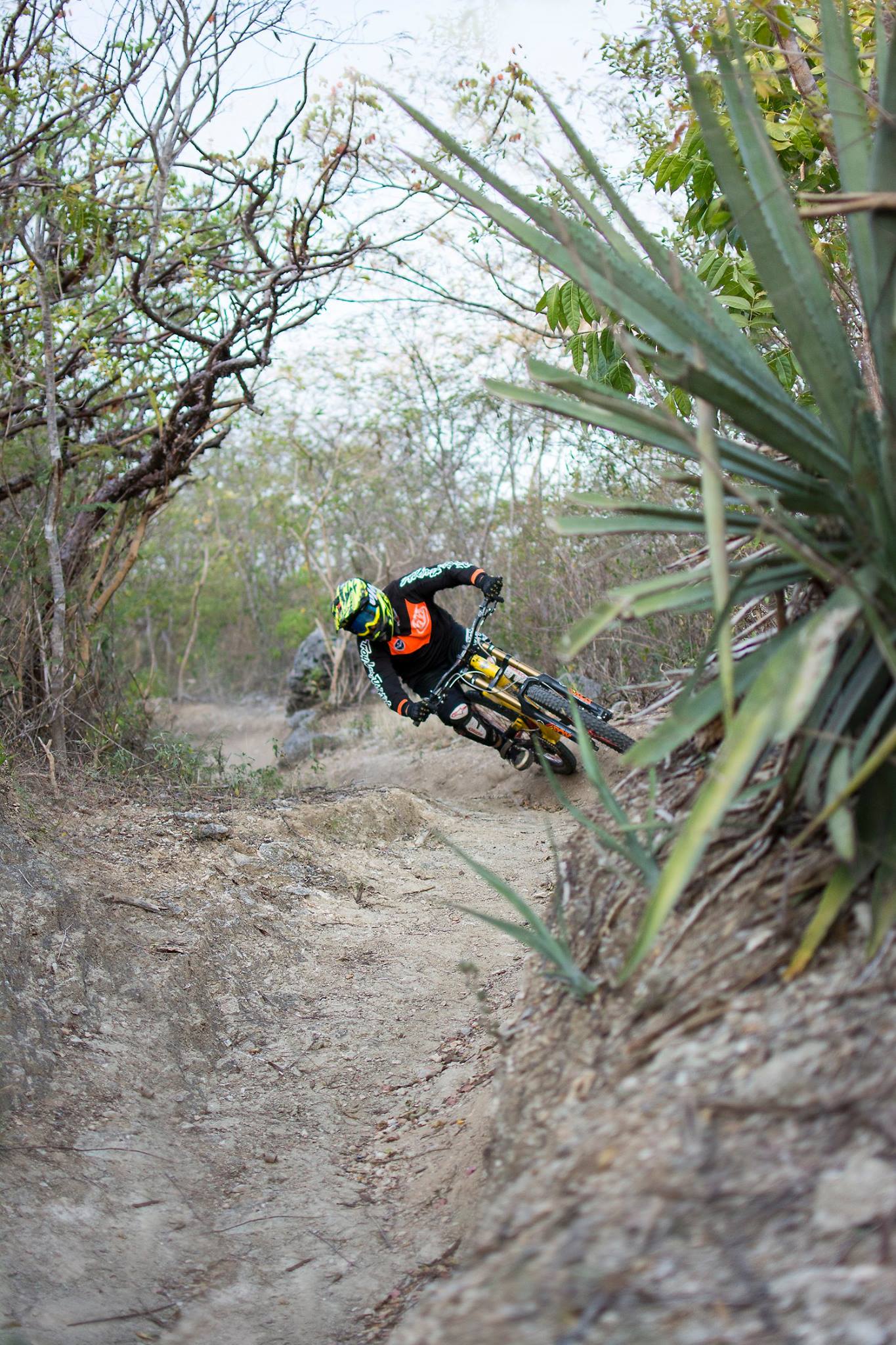 down hill ciclismo en colima