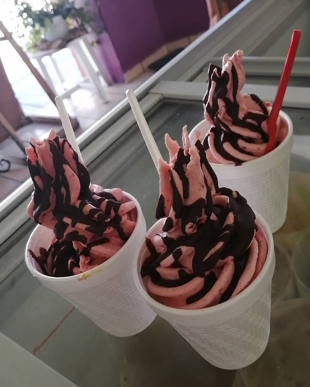 dulces de jalisco mexticacán helados