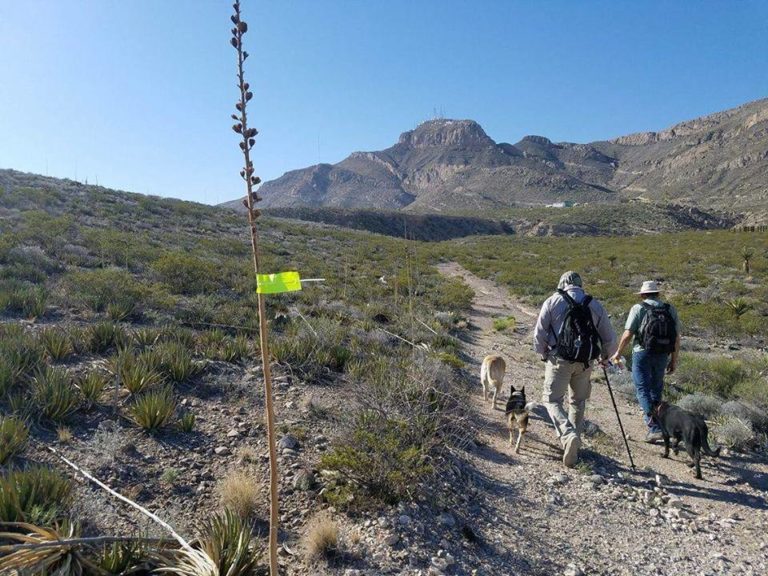 ecoaventuras-trepachanga-ciudad-juárez-senderismo