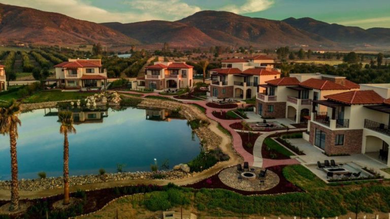 Continúan las Fiestas de la Vendimia 2024 en El Cielo Valle de Guadalupe