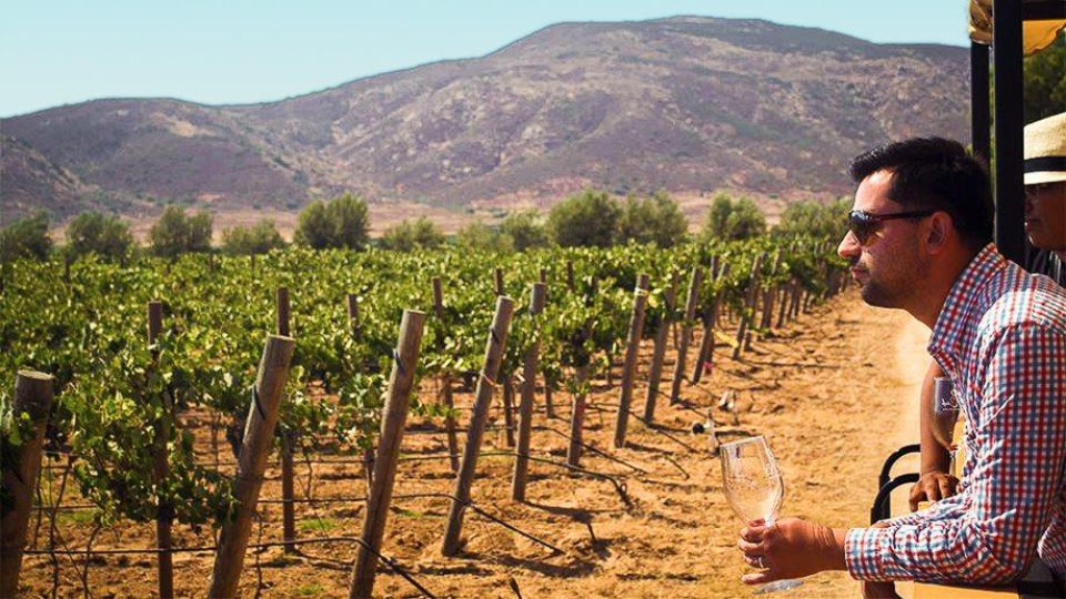 el cielo valle de guadalupe méxico