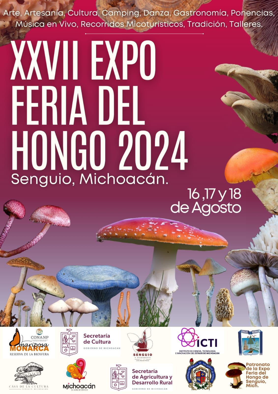 expo hongo qué hacer en michoacán