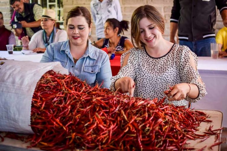 fechas-fiesta-de-todos-los-chiles