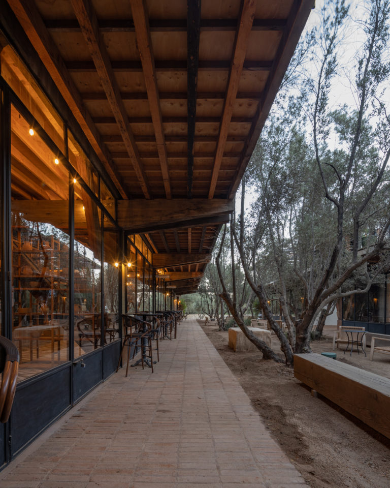 la-bacanal-de-bruma-valle-guadalupe