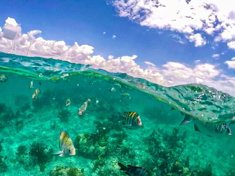 maroma-playa-playas-de-quintana-roo