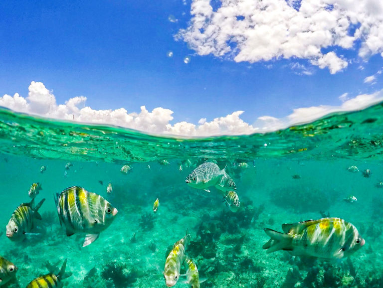 maroma-playas-de-quintana-roo