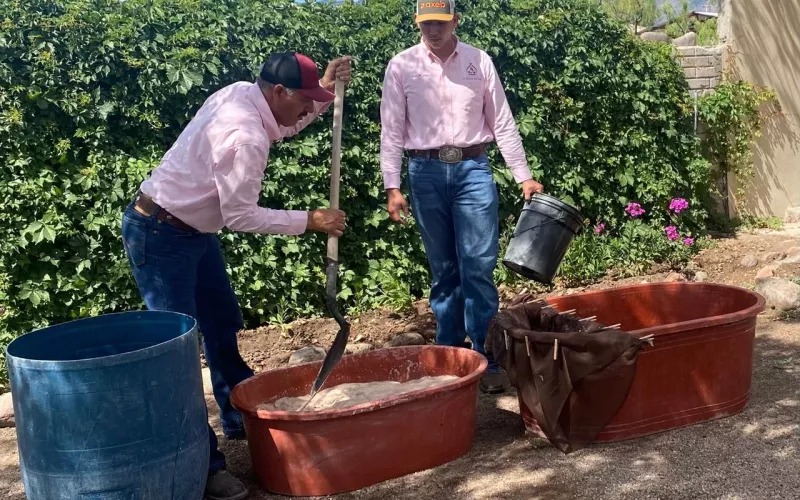 méxico casas grandes chihuahua experiencias