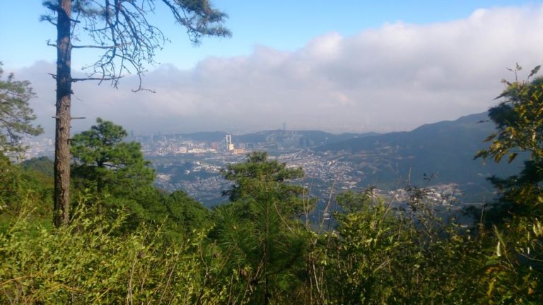 monterrey-baño-de-bosque-méxico-chipinique