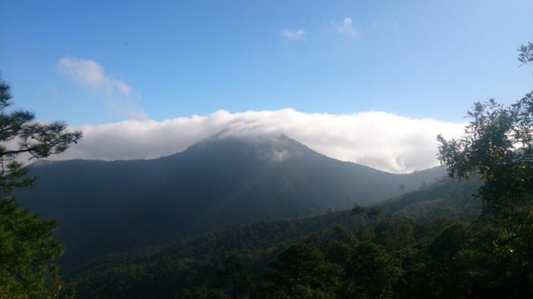 monterrey-chipinique-baño-de-bosque-méxico