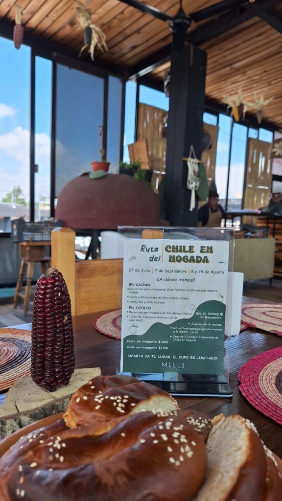 Ruta del Chile en Nogada, Restaurante Milli Cocina de Maíces