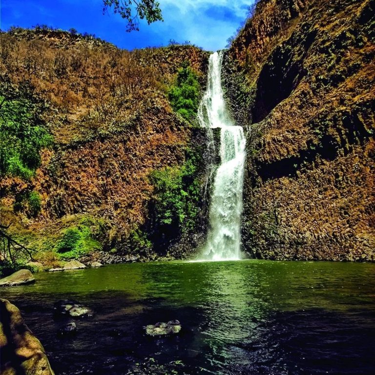 Salto del Nogal: disfruta de paseos en lancha, pesca y bellos pasisajes