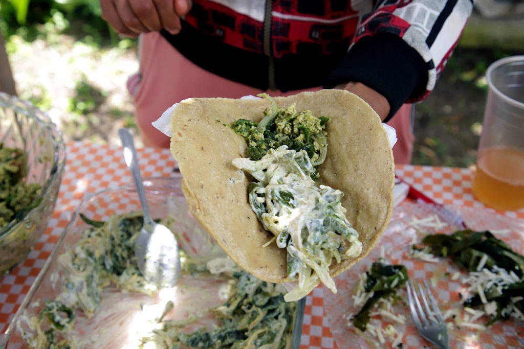 Taco de chile criollo, en Calpan