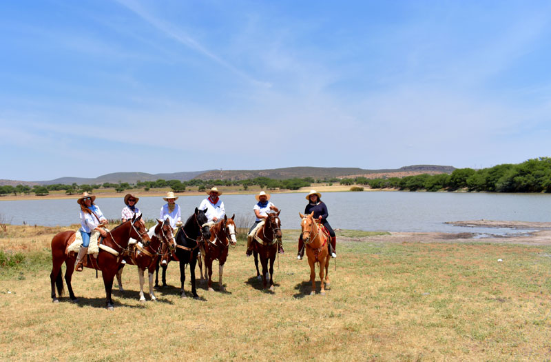 tequisquiapan hay festival querétaro caballos