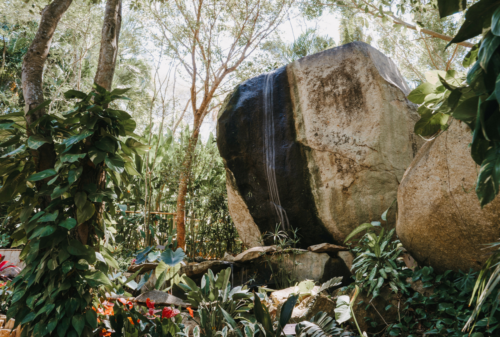 visitar acapulco guerrero méxico jardin botanico