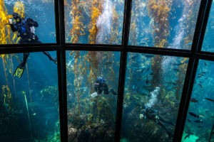 atractivos qué-visitar en california