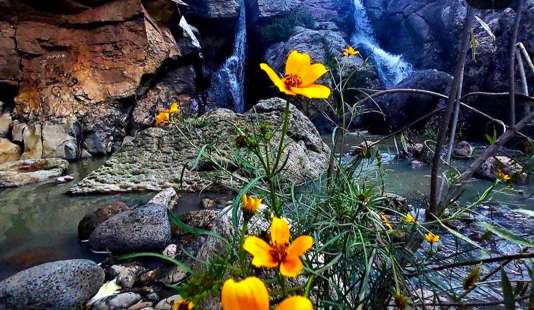 cascada del paso moroleón en guanajuato