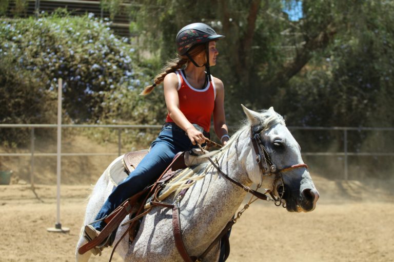 Festival El Caballo y su Mundo: Aguascalientes impulsa la cultura ecuestre