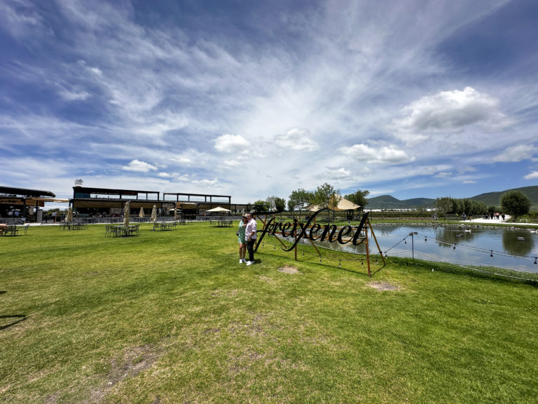 freixenet-viñedos-en-Querétaro-méxico