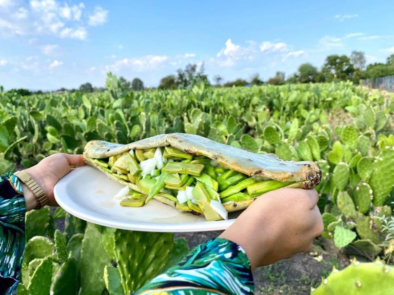 Penca rellena, una delicia guanajuatense que te hará agua la boca