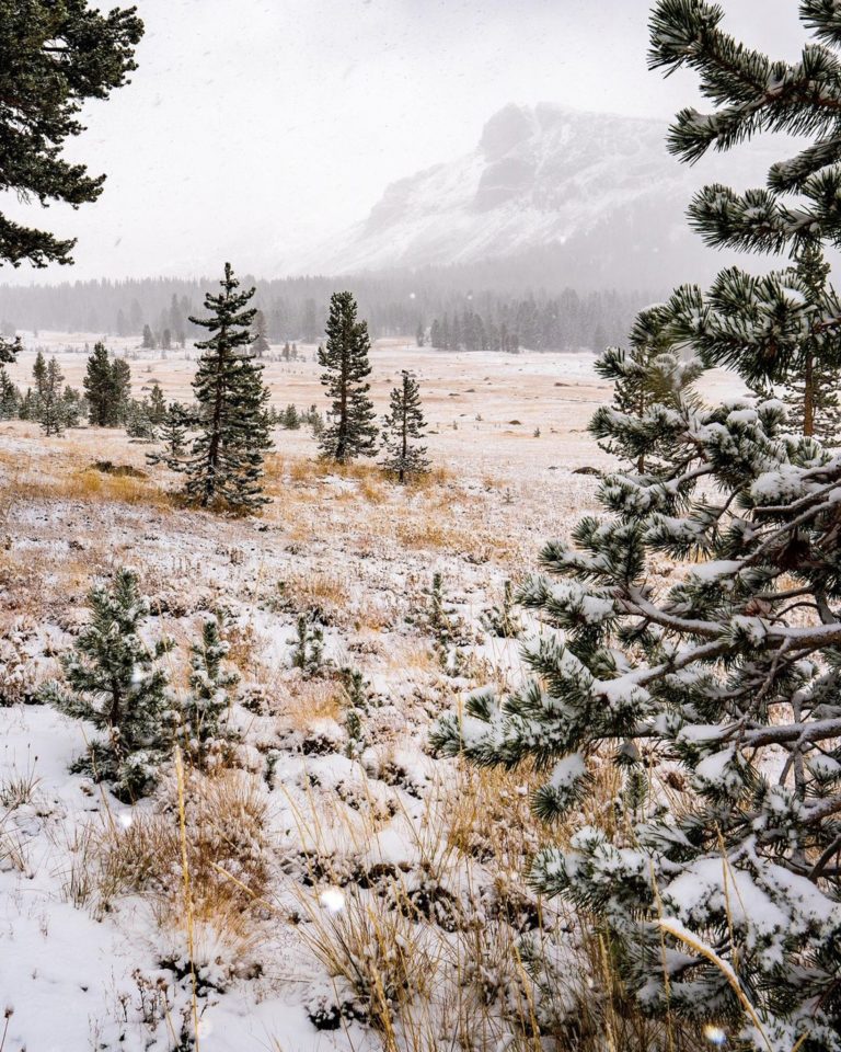 parque-yosemite-estados-unidos-que-hacer