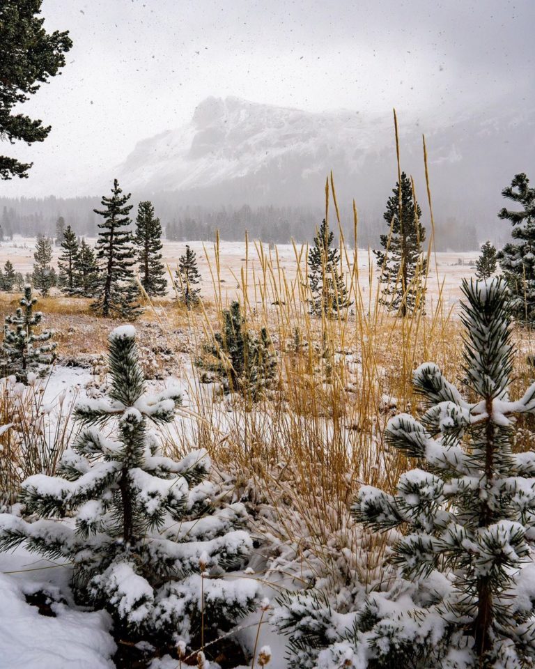 parque-yosemite-estados-unidos-que-ofrece