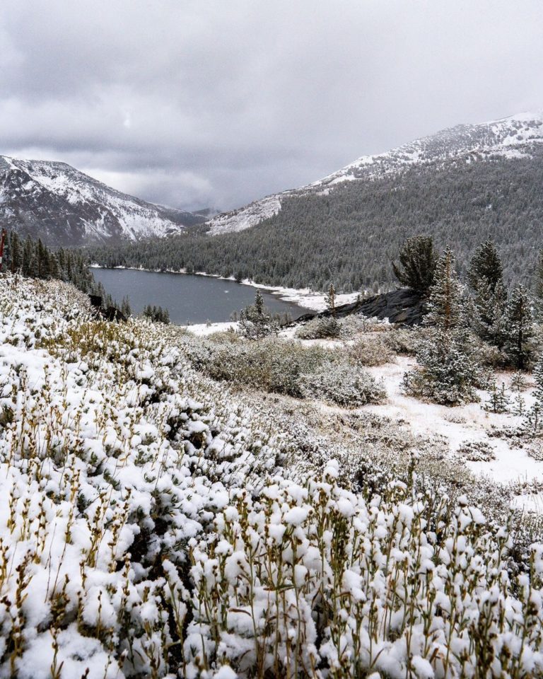 que-hacer-parque-yosemite-estados-unidos